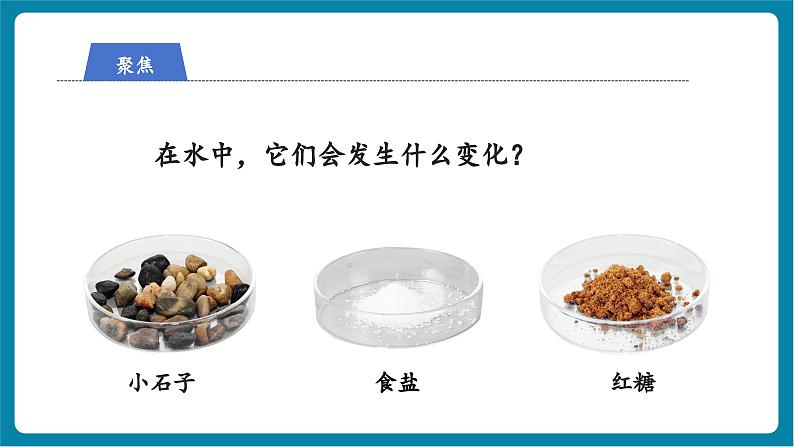 1.7 它们去哪里了（教学课件）第5页