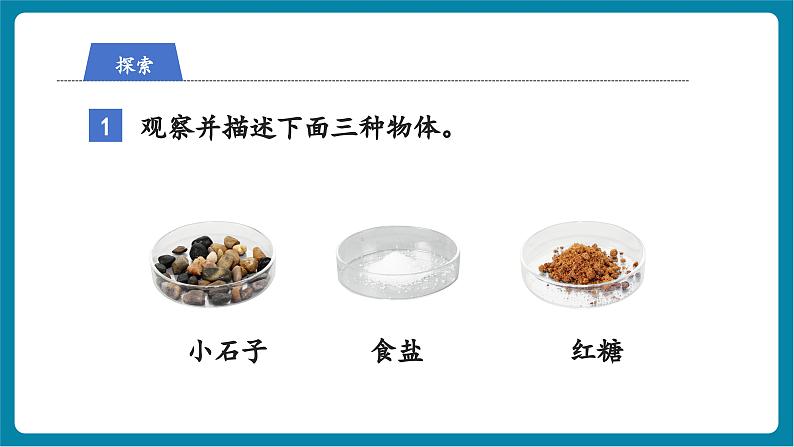 1.7 它们去哪里了（教学课件）第6页