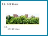 【新教材核心素养】教科版科学一年级下册2.1 我们周围的动物（教学课件+同步教学设计）