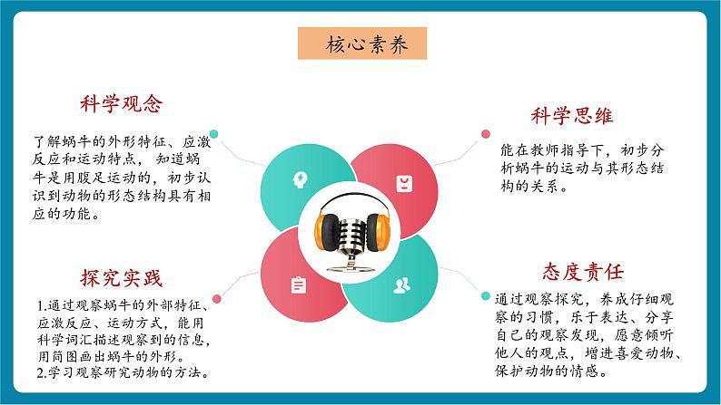 2.2 观察一种小动物（教学课件）第2页