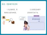 【新教材核心素养】教科版科学一年级下册2.2 观察一种动物（教学课件+同步教学设计）