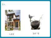 【新教材核心素养】教科版科学一年级下册2.3 给蜗牛建个“家”（教学课件+同步教学设计）