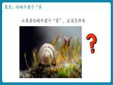 【新教材核心素养】教科版科学一年级下册2.3 给蜗牛建个“家”（教学课件+同步教学设计）