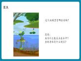 【新教材核心素养】教科版科学一年级下册2.4 水中的动物（教学课件+同步教学设计）
