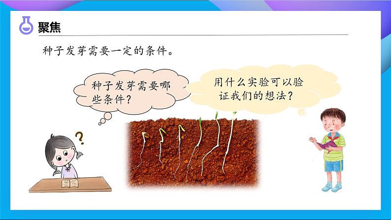 【备课无忧】教科版科学五下-1.1 种子发芽实验（课件）第8页