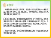 教科版科学三下 2.4 《蚕变了新模样》课件+教学设计（教学反思）+素材