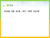 教科版科学三下 2.4 《蚕变了新模样》课件+教学设计（教学反思）+素材
