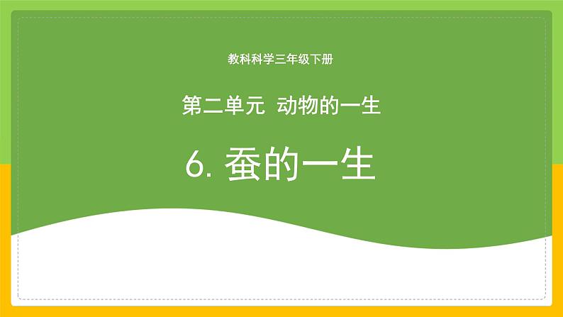 教科版科学三下 2.6 《蚕的一生》课件第1页