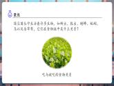 【核心素养优质课】教科版科学五年级下册1.7 设计和制作生态瓶（教学课件+同步教案含反思）