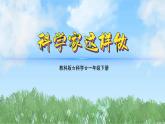 （2025新版）1-1-觀察物體的特征-教科版科學(xué)一年級下冊（最新版）課件