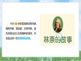 （2025新版）1-1-觀察物體的特征-教科版科學(xué)一年級下冊（最新版）課件
