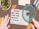 （2025新版）1-1-觀察物體的特征-教科版科學(xué)一年級下冊（最新版）課件