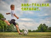 （2025新版）1-4-認(rèn)識(shí)物體的形狀-教科版科學(xué)一年級(jí)下冊(cè)（最新版）課件