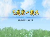 （2025新版）1-5-觀察一瓶水-教科版科學一年級下冊（最新版）課件
