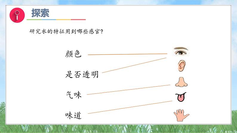 （2025新版）1-5-观察一瓶水-教科版科学一年级下册（最新版）课件第7页