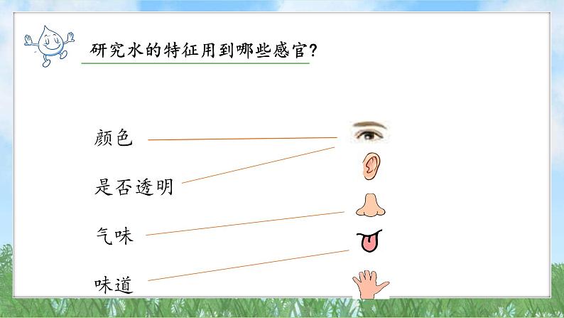 （2025新版）1-5-观察一瓶水-教科版科学一年级下册（最新版）课件第8页