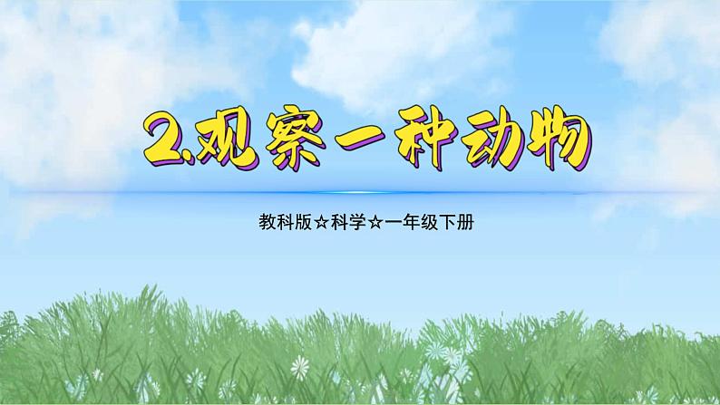 （2025新版）2-2-观察一种动物-教科版科学一年级下册（最新版）课件第1页