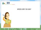 （2025新版）2-2-觀察一種動(dòng)物-教科版科學(xué)一年級(jí)下冊(cè)（最新版）課件