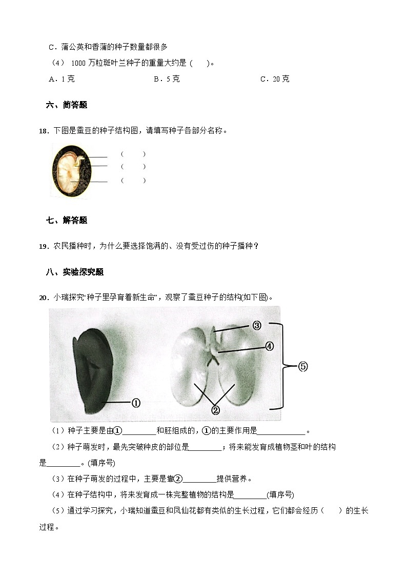 教科版科学四年级下册第1单元 1《种子里孕育着新生命》同步练习（含解析）第3页