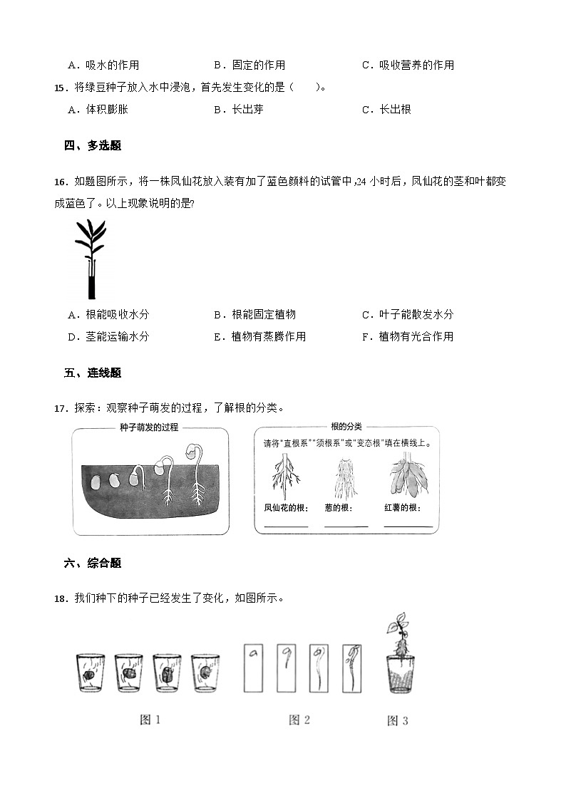教科版科学四年级下册第1单元 3《种子长出了根》同步练习（含解析）第2页