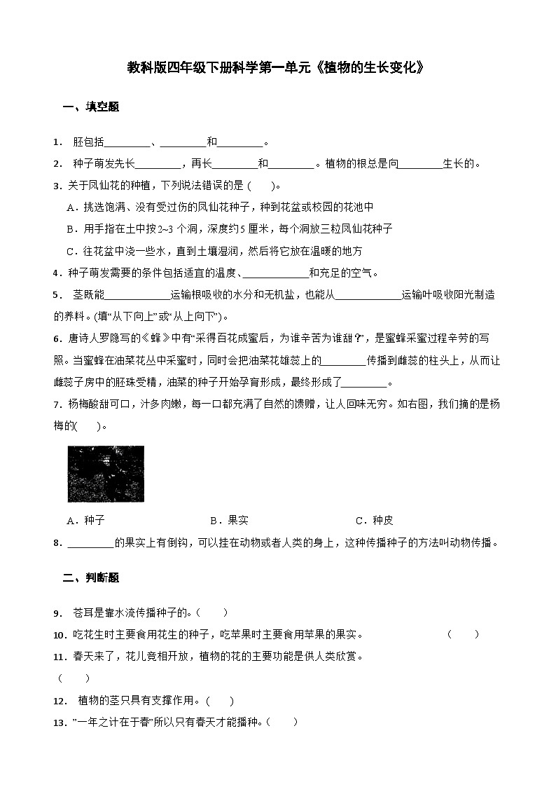 教科版科学四年级下册第一单元《植物的生长变化》练习卷（含解析）第1页
