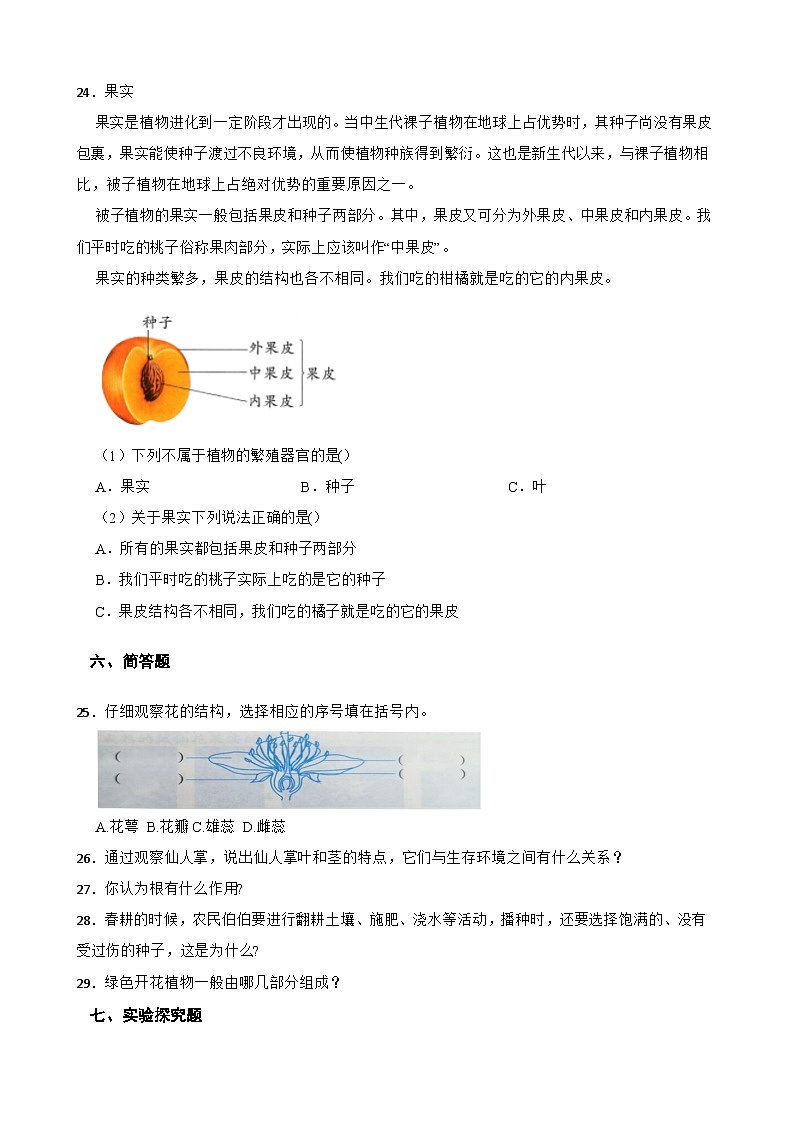 教科版科学四年级下册第一单元《植物的生长变化》练习卷（含解析）第3页
