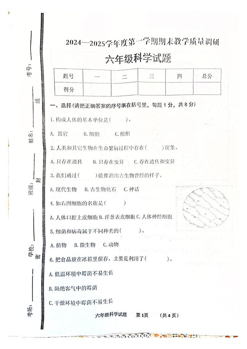 山东省济宁市经开区2024-2025学年六年级上学期期末教学质量调研科学试题第1页
