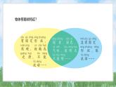1.單元小結(jié)（教科版2024）一年級(jí)科學(xué)下冊(cè)課件