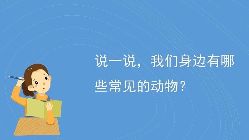 2.单元小结（教科版2024）一年级科学下册课件第3页