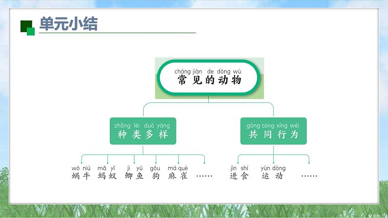 2.单元小结（教科版2024）一年级科学下册课件第4页