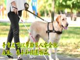 2.科學(xué)閱讀（教科版2024）一年級(jí)科學(xué)下冊(cè)課件