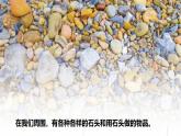 1《捡石头》（教学课件）科学一年级下册（苏教版2024）