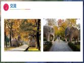 1《捡石头》（教学课件）科学一年级下册（苏教版2024）