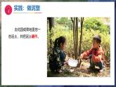 3《捏泥巴》（教学课件）科学一年级下册（苏教版2024）
