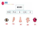 4《水是什么样的》（教学课件）科学一年级下册（苏教版2024）