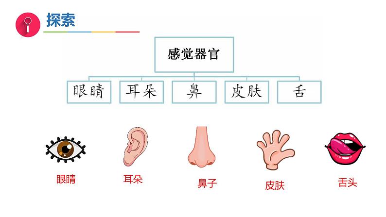 4《水是什么样的》（教学课件）科学一年级下册（苏教版2024）第5页