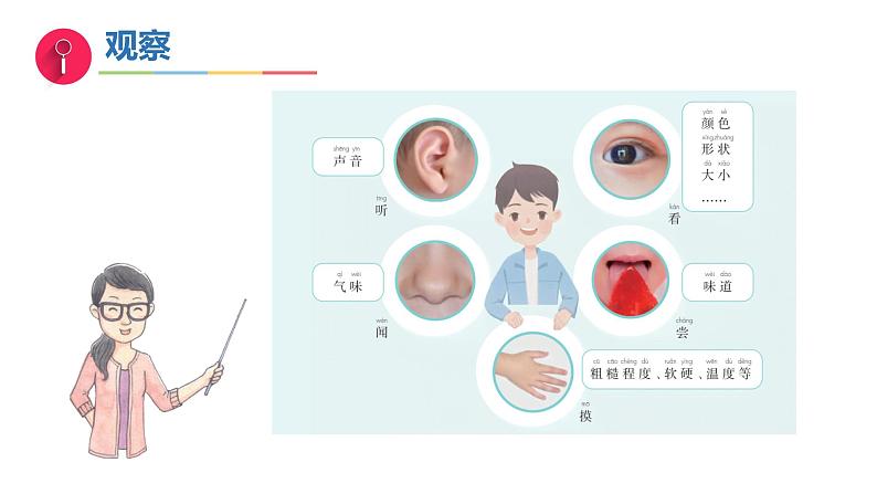 4《水是什么样的》（教学课件）科学一年级下册（苏教版2024）第6页