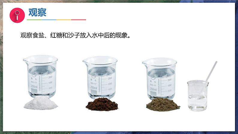 6《盐和糖哪儿去了》（教学课件）科学一年级下册（苏教版2024）第5页