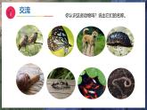10《形形色色的动物》（教学课件）科学一年级下册（苏教版2024）