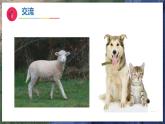10《形形色色的动物》（教学课件）科学一年级下册（苏教版2024）