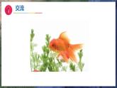 10《形形色色的动物》（教学课件）科学一年级下册（苏教版2024）
