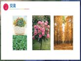 11《多姿多彩的植物》（教学课件）科学一年级下册（苏教版2024）