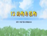 12《动物与植物》（教学课件）科学一年级下册（苏教版2024）