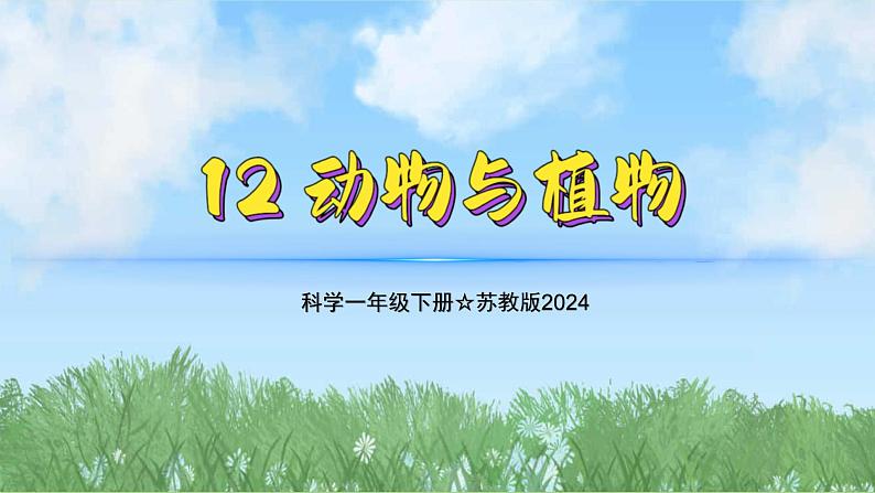 12《动物与植物》（教学课件）科学一年级下册（苏教版2024）第1页