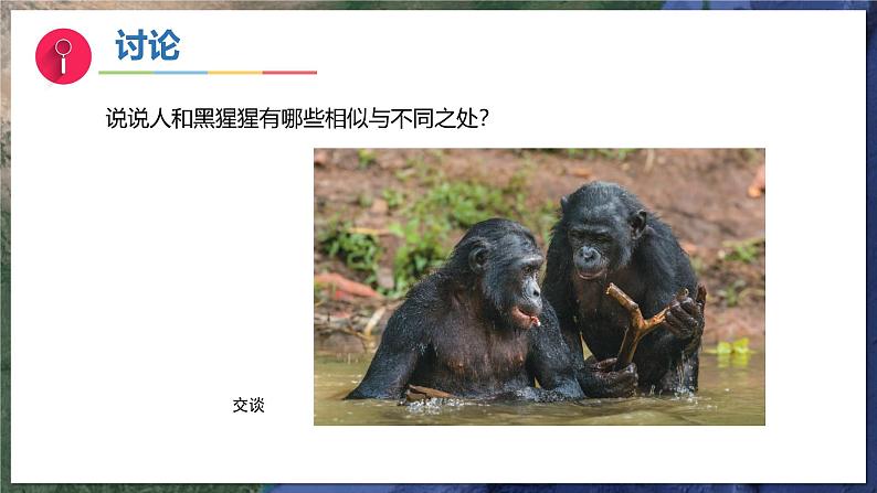 12《动物与植物》（教学课件）科学一年级下册（苏教版2024）第8页