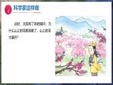 《像科学家那样1》（教学课件）科学一年级下册（苏教版2024）