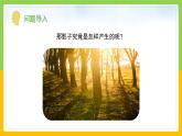 教科版科學(xué)三下 3.3 《影子的秘密》課件+教學(xué)設(shè)計（教學(xué)反思）+素材