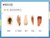 【核心素養(yǎng)】大象版小學(xué)科學(xué)一年級上冊     2.感官的本領(lǐng)   課件ppt+ 教案