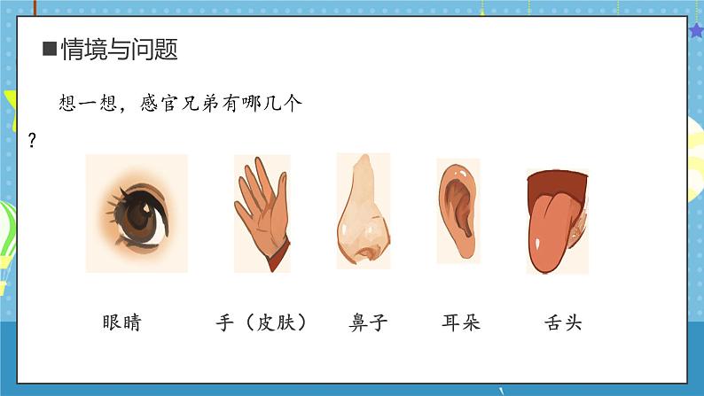 大象版小学科学一年级上册     2.感官的本领   课件第4页