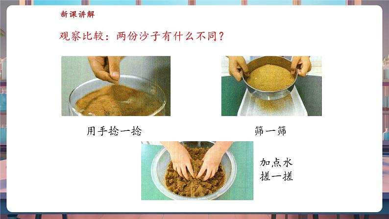 苏教版一年级科学下册1.2《玩沙子》课件第7页